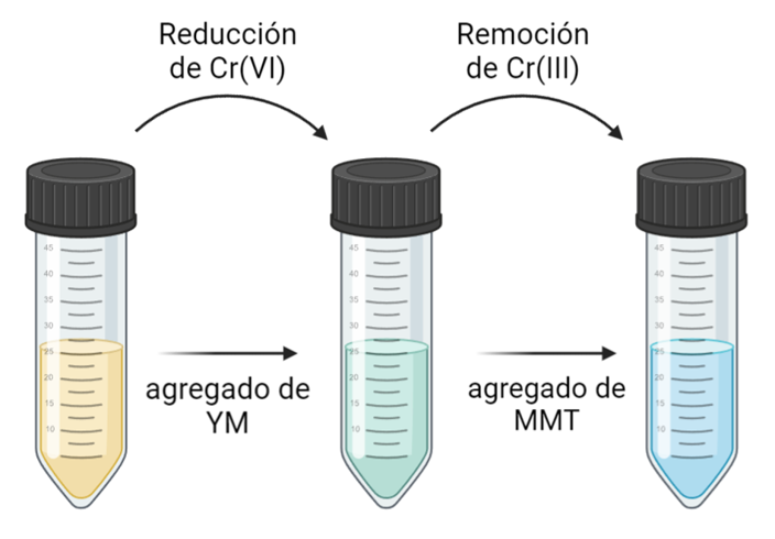 Esquema del proceso en dos pasos de la remoción de Cr(VI) usando extractos de yerba mate y arcillas.
