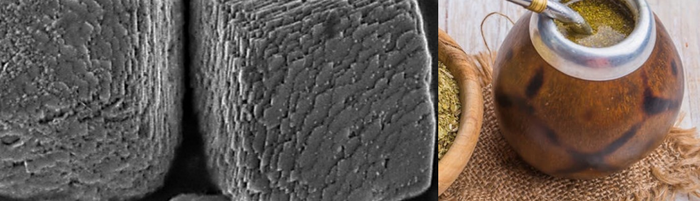 Imagen compuesta por dos fotografías, una de bio-partículas por microscopio y la otra de un mate con yerba, sobre una mesa.