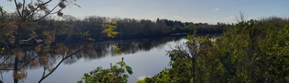 Fotografía de la ribera del Río Reconquista.