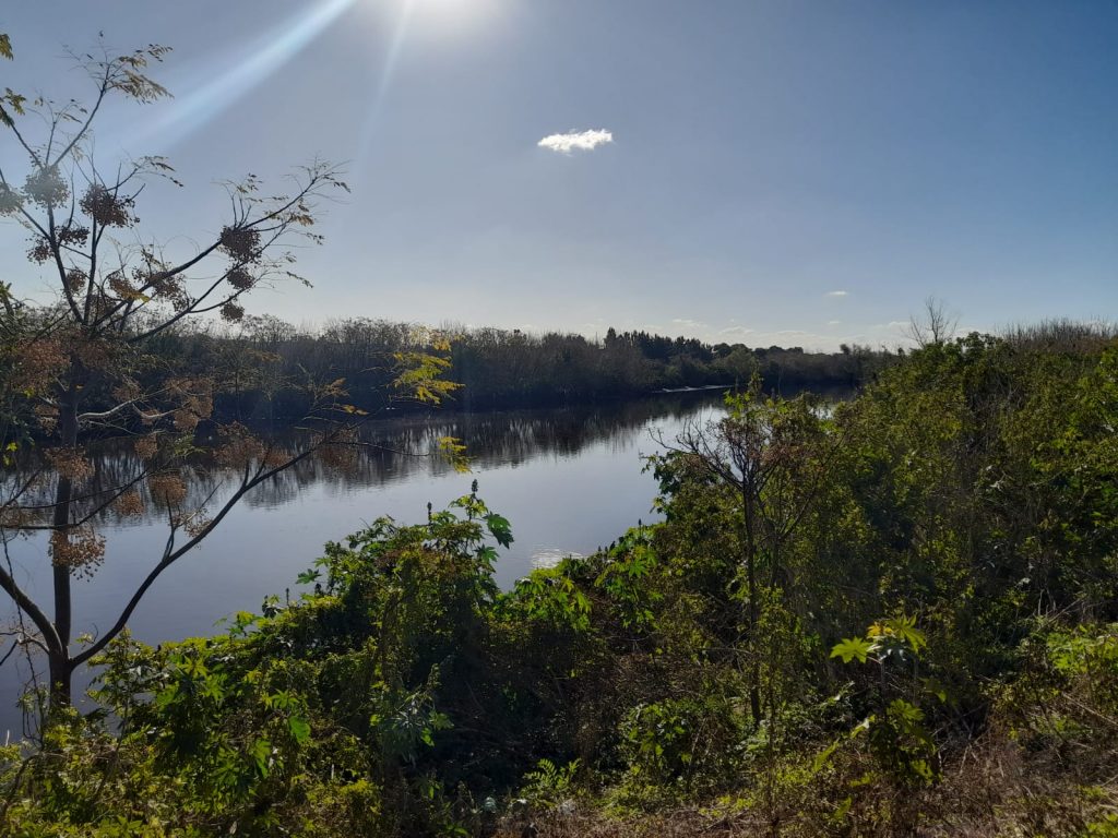 Fotografía de la ribera del Río Reconquista.